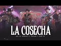 LA COSECHA - Los De Sonora Ft Los Juniors Carlos y José