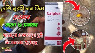 মুরগি চাম ডিম দেওয়ার কারন ও সমাধান।। মুরগির ডিমের খোসা পাতলা ও নরম।। desi murge farm #vlog