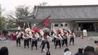 常笑（どまつり夜桜in岡崎2016）家康館前