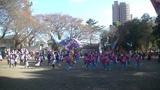 橋本酉の市　2018　総踊り　よしゃこい①