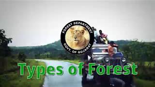 Watch a film on Forest types of Gujarat.Diversity in the state is also reflected in Biodiversity.