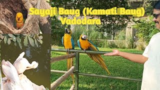 Sayaji Baug Vadodara l Sayaji Baug Zoo Tour l Kamati Baug Vadodara l Kamati Baug museum l Vlog l