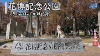 【花博記念公園鶴見緑地】しきぶとお散歩しました。