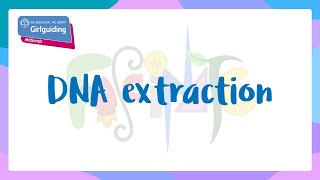 Fascinate 2021 - DNA extraction