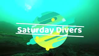 Saturday Divers Drop in Dive Highlights, 12th March 2022. Tyee.