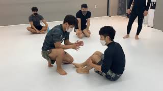 나만알고싶은기술#8 신온신으로 하프 버터 플라이 가드 셋업하기 / half butterfly guard setup