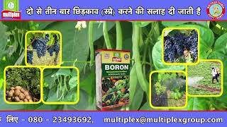 multiplex - BORON-10.5%