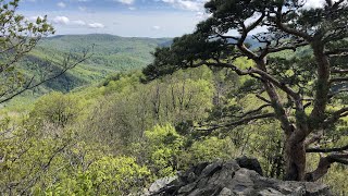 Планческая. Золотые и Красные скалы