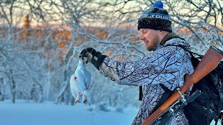 TALVISTA LINNUN PYYNTIÄ LAPISSA || KANALINNUN METSÄSTYS