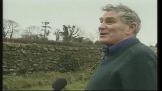 A mobile telephone mast has been dressed to look like a tree Mullingar in County Westmeath 1999