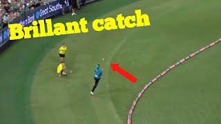 Brillant catch by Michael Neser Brisbane heat vs Sydney sixers|
