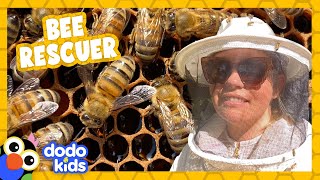 Rescuer Puts On Bee Suit And Saves Handful Of Honey Bees | For The Love Of The Wild | Dodo Kids