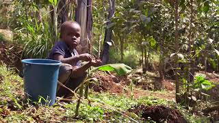 Oliver Kishero a model farmer in Bulambuli District