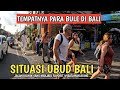 KAMPUNG BULE DI UBUD BALI | JALAN KAJENG UBUD KEMBALI RAMAI