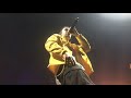pet cheetah ~ twenty one pilots @ Brisbane 18/12/18