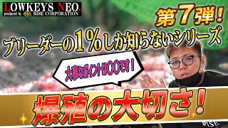 【1％しか知らない】爆殖の大切さについて！【ローキーズネオ】