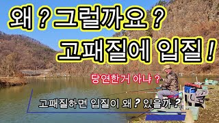 고패질을 하면 왜 ? 입질이 있을까요 ? 홍충분 50% 사용 ! - 2023년 12월16일