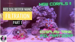 New Corals, Tank Filtration, Tank Update| RED SEA REEFER NANO 28G