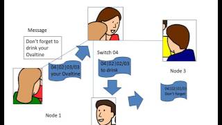 Star Networking Example