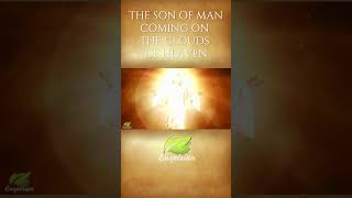 The Son of Man coming on the clouds of Heaven