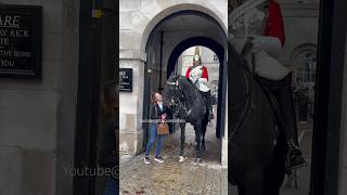 Rude Tourist Harassing King’s Horse and Testing Guards Patience