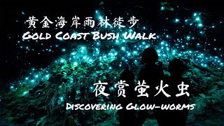 Gold Coast bush walk and a visit to glowworms