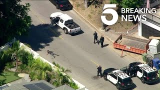 Driver in LAPD Pursuit Taken into Custody in Sherman Oaks