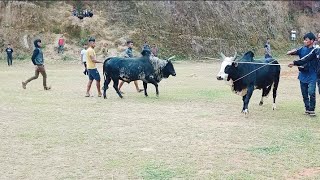 Thohpan Mawsynram 🆚 Bria Duh Pik 🔥🔥🔥 Iong bah Dan 🆚 Iong Lyngkien ❣️👍👍 on 21/08/22 at Nongmadan