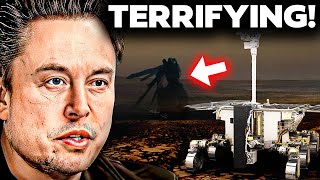 Elon Musk Just WON'T Believe At What NASA Found On Mars!
