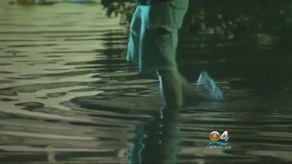 Miami Beach Residents Say They’re Tired Of Continued High Tide Flooding