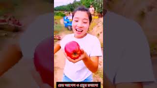 রেড ও প্রচুর রসালো আপেল