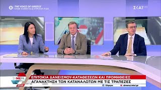 Η Ν.Γιαννακοπούλου τοποθετείται για το θέμα των τραπεζών- Το σχόλιο των Α.Πορτοσάλτε,Β.Παπαδημητρίου