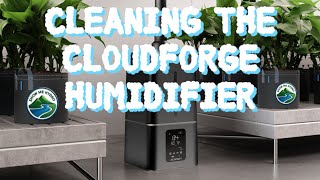 Cleaning the Cloudforge Humidifier
