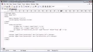 jQuery Tutorial 25 Basic form field selection