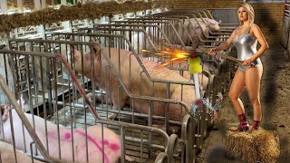 Pig farm Revolution: How One Idea Changed Life Forever