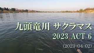 九頭竜川サクラマス 2023 ACT6 2023-04-02