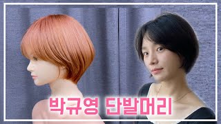 박규영 숏 단발 ? 단발 레이어드? 커트 하기~ 무거운 느낌에 보브 커트 하는 방법