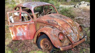 Exploring abandoned vw beetle, sitting in the woods for 40 years!