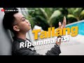 Tallang Ripamma'risi - Wawan Naba ( Official Music Video )