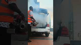 Cockroach Infestation In Your Car Watch How Fumigation Solves The Problem