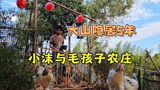 带着一群无家可归的狗狗，大山住了这几年，恍恍惚惚就像一场梦【233】