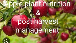 Apple nutrition and post harvest management (by dimpal panjta)