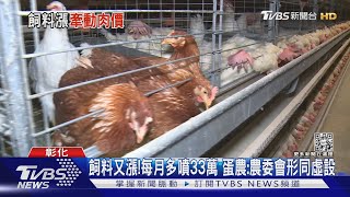 飼料又漲!每月多噴33萬 蛋農:農委會形同虛設｜TVBS新聞