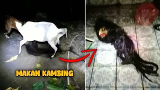 7 Video Penampakan Hantu seram \u0026 mengerikan yang beredar di media sosial TOP 7 SCARY \u0026 GHOST VIDEOS