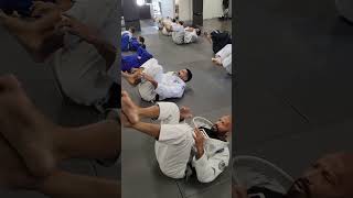 BJJ Gi Adults