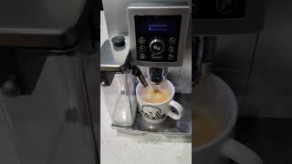 Delonghi Magnifica ECAM23450 Cappuccino not working