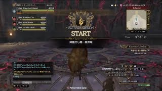 【黒騎士限界域】お手軽セージ編（3:35）【DDON】