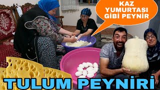 KAZ YUMURTASI GİBİ PEYNİR~OĞLAK TULUMUNA EKŞİMİK BASTIK