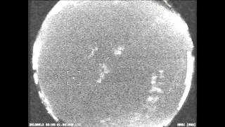 NASA All Sky Fireball Network Cameras Catch Perseids