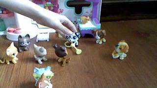 lps famous gurls episode #25 ( 2000 lps dollers)